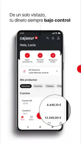Cajasur screenshot