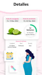Calculadora de Embarazo screenshot