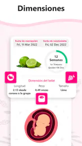 Calculadora de Embarazo screenshot