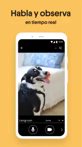 Camara de Seguridad, camara ip screenshot