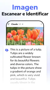 Chatbot Assistant - AI Seek screenshot