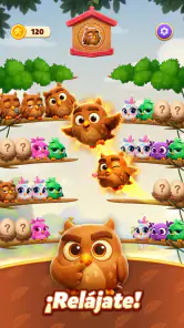 Chirpy Sort: Bird Color Puzzle screenshot