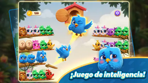 Chirpy Sort: Bird Color Puzzle screenshot