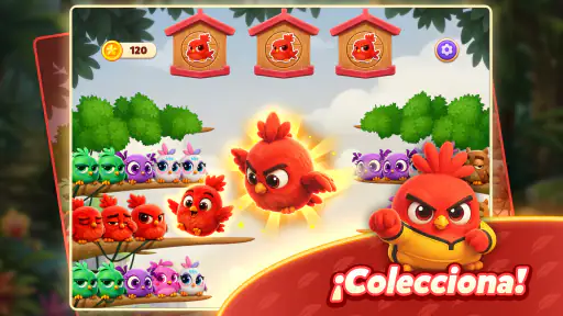 Chirpy Sort: Bird Color Puzzle screenshot