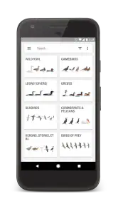 Collins Bird Guide screenshot