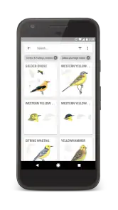 Collins Bird Guide screenshot