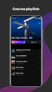 CrispTone: Música offline screenshot