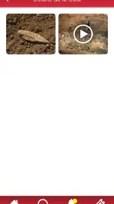 Cueva de Nerja screenshot