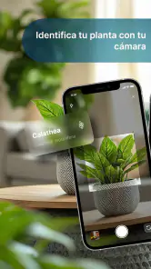 Cuidado de plantas screenshot