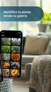 Cuidado de plantas screenshot