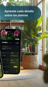 Cuidado de plantas screenshot
