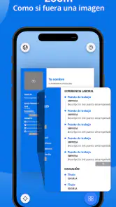 Curriculum Vitae - Español PDF screenshot