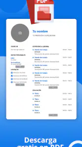 Curriculum Vitae - Español PDF screenshot