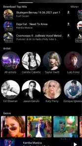Descargador de música MP3 screenshot