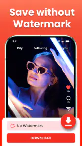 Descargador de videos  Anysave screenshot