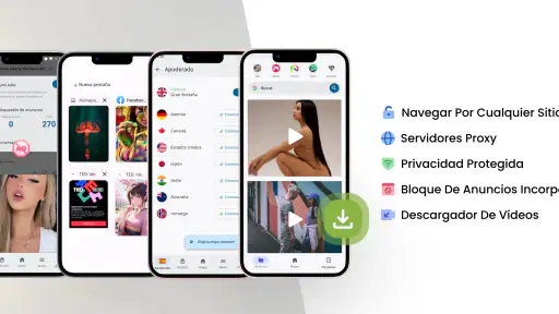 Descargador de videos: Browser screenshot