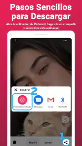 Descargar vídeos de Pinterest screenshot