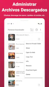 Descargar vídeos de Pinterest screenshot