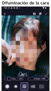 Desenfoque y Mosaico screenshot