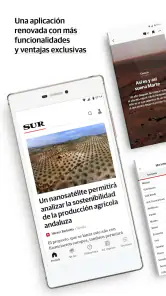 Diario Sur screenshot