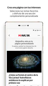 Diario Sur screenshot