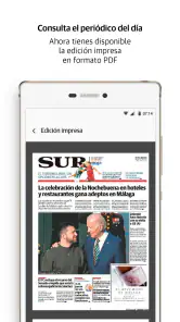 Diario Sur screenshot