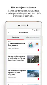 Diario Sur screenshot