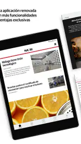 Diario Sur screenshot