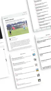 Diario Sur screenshot