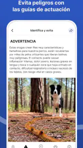 Doguify: petfriendly y alertas screenshot