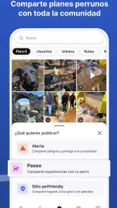 Doguify: petfriendly y alertas screenshot