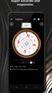 DS Compass screenshot