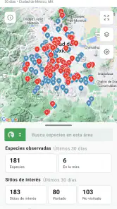 eBird by Cornell Lab screenshot