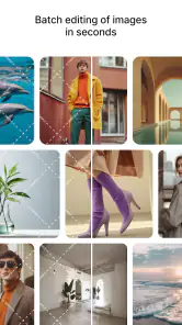 Eliminador marcas de agua screenshot