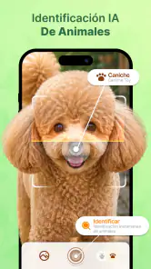 Escanea y Cuida Plantas IA screenshot