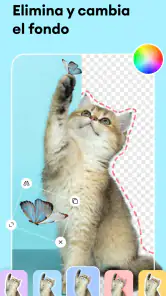 Estudio de Fotos IA: Editor screenshot