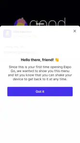 Expo Go screenshot