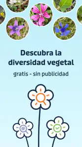 Flora Incognita screenshot