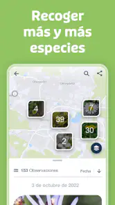 Flora Incognita screenshot
