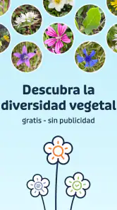 Flora Incognita screenshot