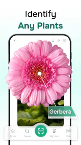 ‎Florant: Ai Plant Identifier screenshot