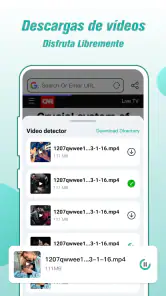 Fly Browser - Private & Fast screenshot