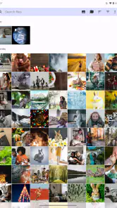 Fossify Gallery screenshot