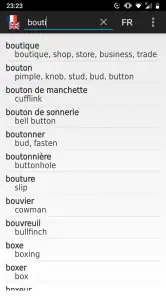 French - English offline dict. screenshot