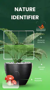 Garden Genie: Identificador screenshot