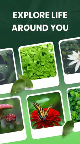 Garden Genie: Identificador screenshot