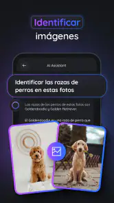 Gemmy AI: Chat y Asistente screenshot