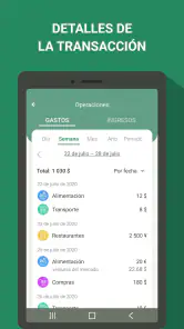 Gestor de gastos - finanzas screenshot