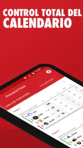 Gestor de ligas y torneos screenshot