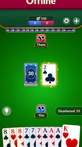 Gin Rummy: Juego de Cartas screenshot